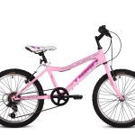 TIGER ANGEL 20 inch Girls Mountain Bike 6 Speed 2 colours