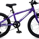 TIGER BEAT 20 inch Kids Bike Available In Five Colours