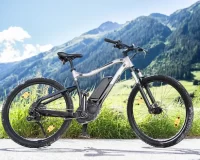 coyote mountain bike