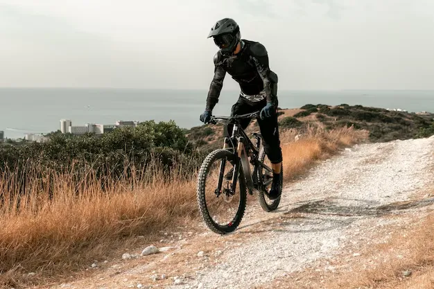 riddick mountain bike