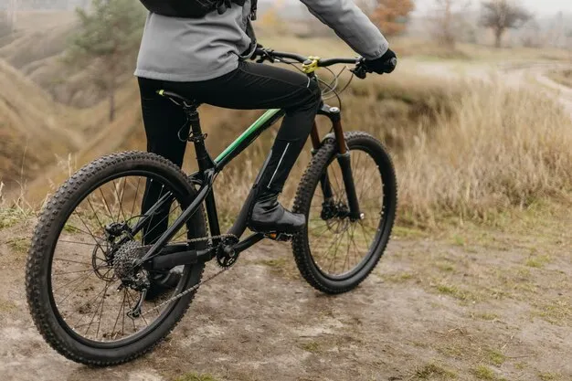 riddick mountain bike