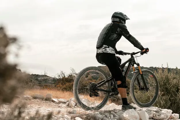 riddick mountain bike