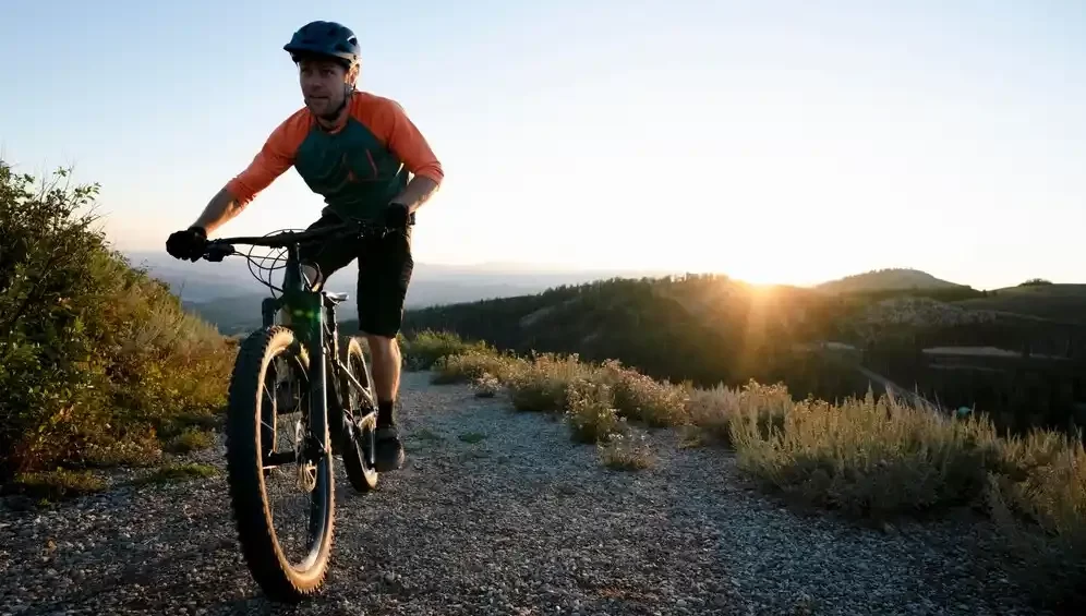 Tiger mountain bike