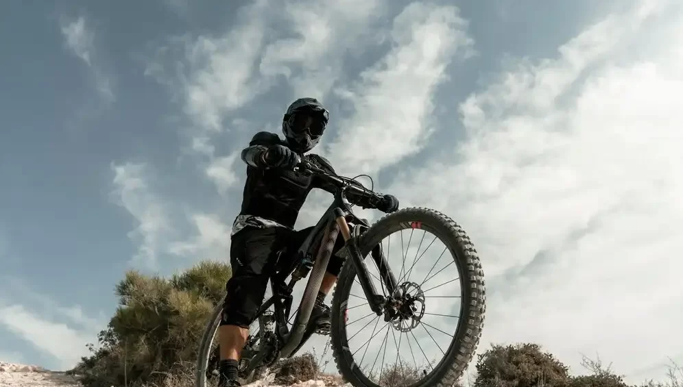 Tiger Mountain Bike