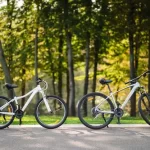Mongoose Boundary 3
