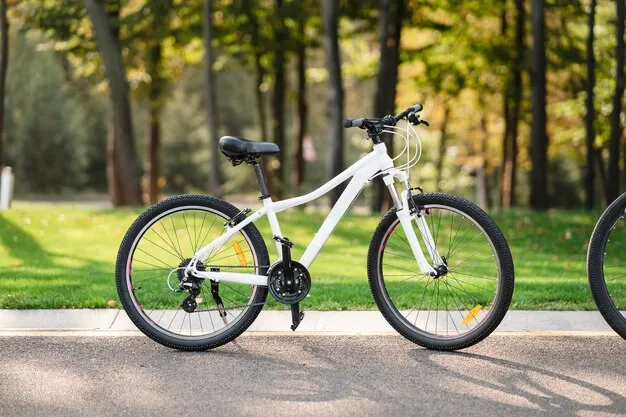 Mongoose Boundary 3
