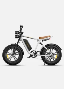 ENGWE M20 - single Battery Edition