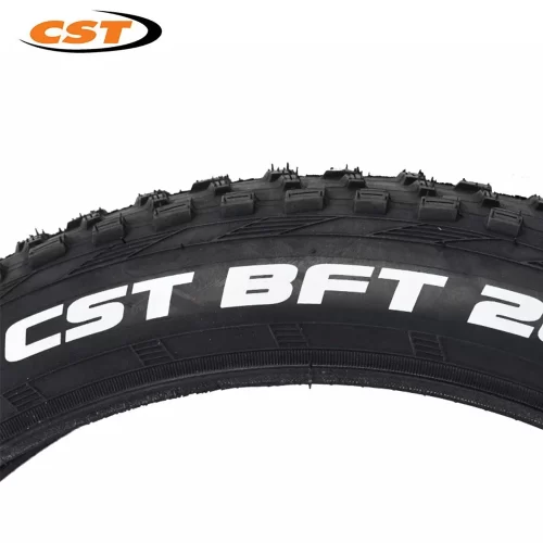 CST 20 inch Fat Tire  Front  & Rear Wheel - Image 3