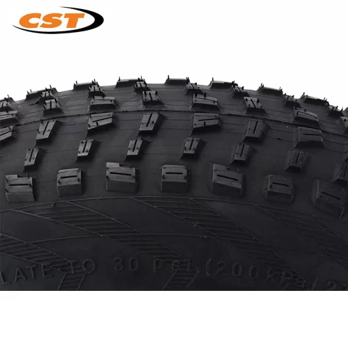 CST 20 inch Fat Tire  Front  & Rear Wheel - Image 5