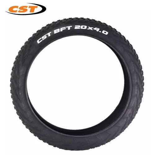 CST 20 inch Fat Tire  Front  & Rear Wheel - Image 4