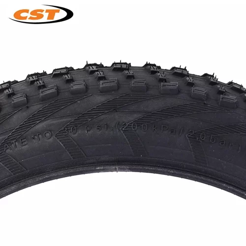 CST 20 inch Fat Tire  Front  & Rear Wheel - Image 6