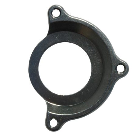 DMR - Viral Chain Guide - ISCG05 Adaptor