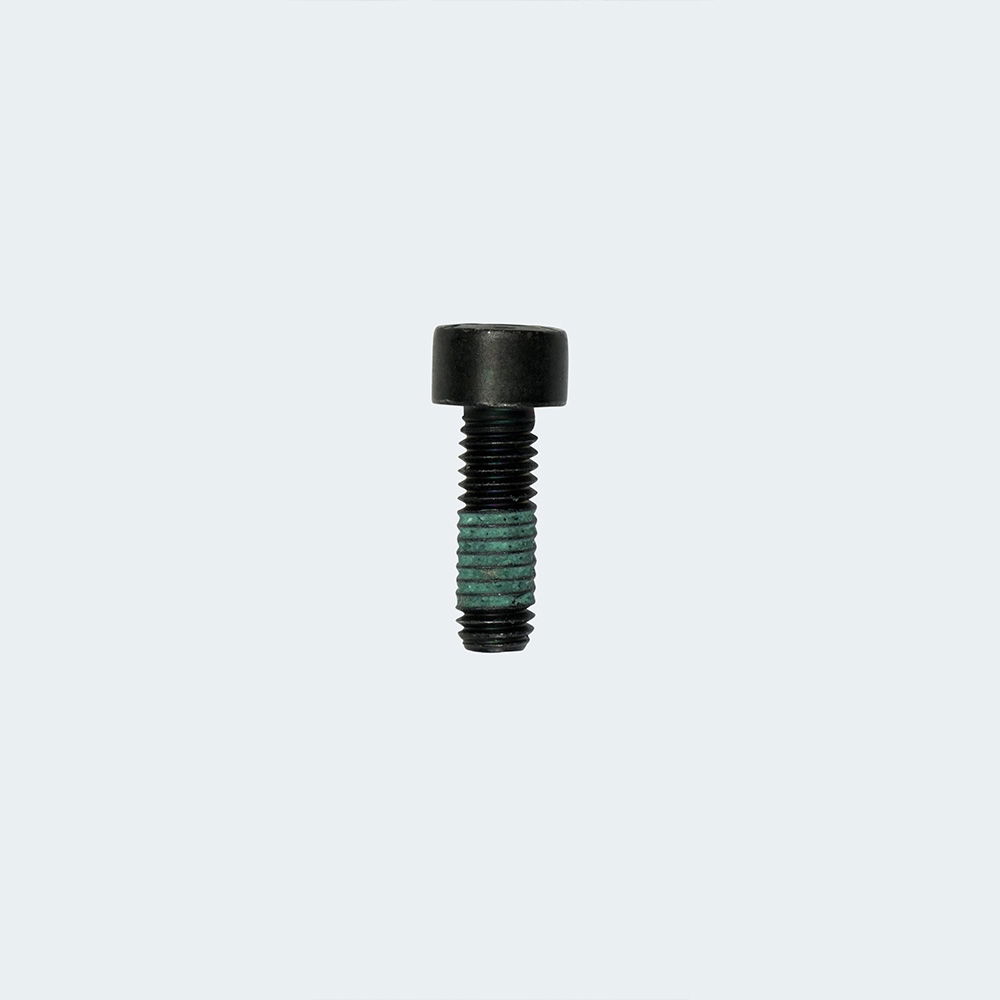 FAZUA RIDE 60 Drive Unit SCREW MOUNT