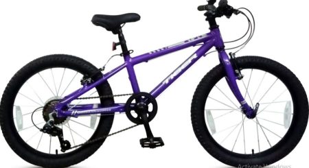 Tiger Beat 26 inch Light weight Junior Bike Purple