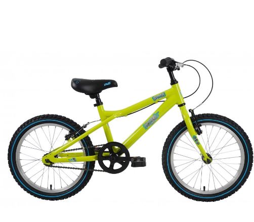 Dawes Blowfish Junior bike MTB green