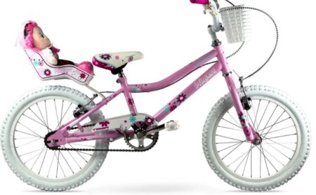 Tiger Princess pink 14 inch kids bike
