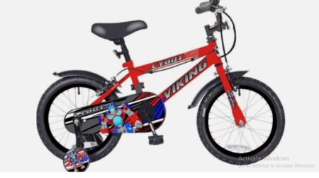 Viking Cybot 16” Wheel Single Speed with Stabilisers
